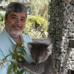  Bingo Koala, Gorge Wildlife Park South Australia.9